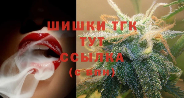 прущий лед Алзамай