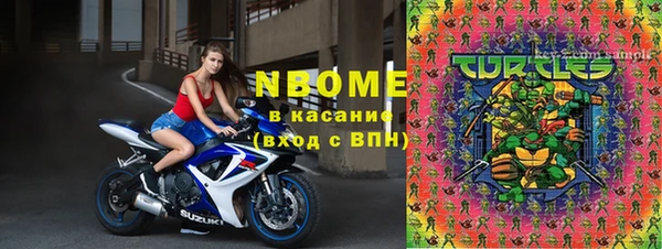 прущий лед Алзамай