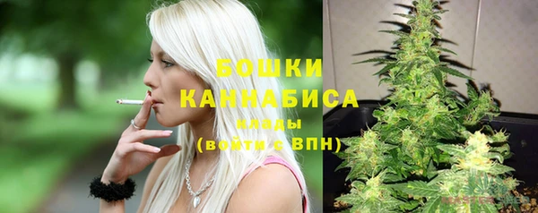 PSILOCYBIN Сатка