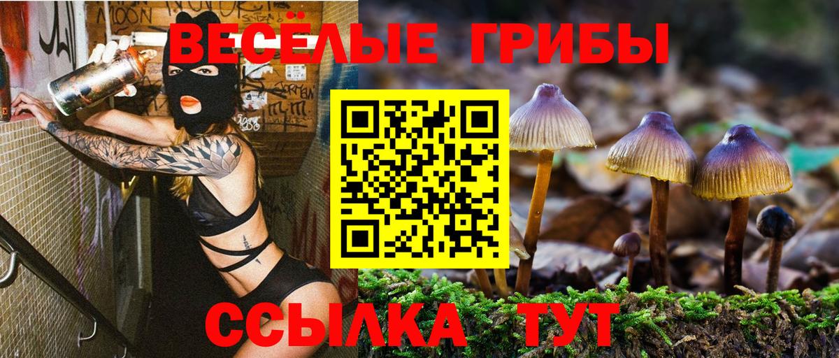 Галлюциногенные грибы Cubensis  Вход с VPN  Котельники 